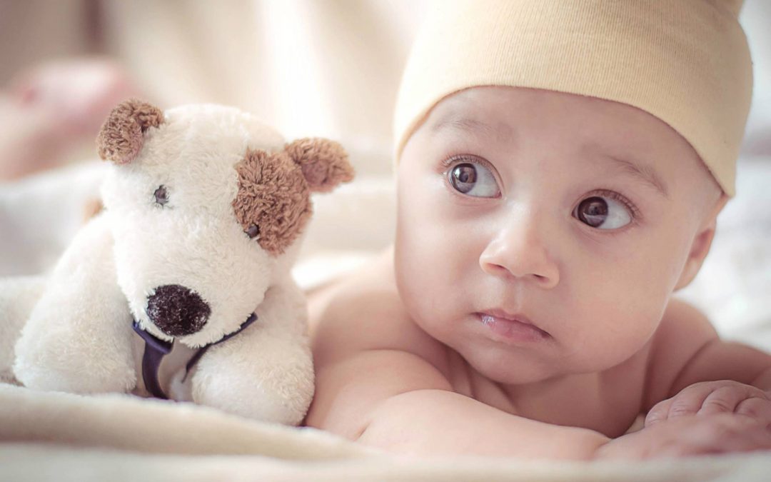Introducing a pet to a new baby