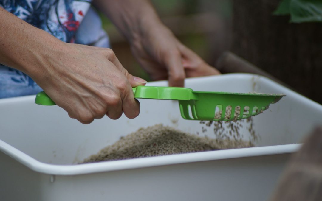 Litter Box Tips